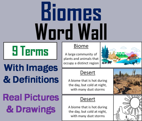 Biomes Word Wall Cards