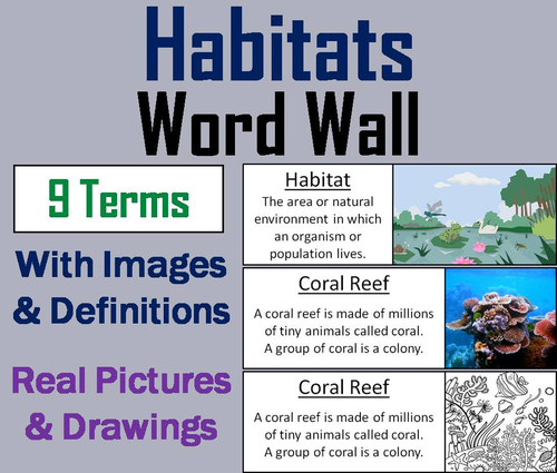 Animal Habitats Word Wall Cards