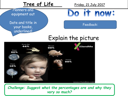 AQA Trilogy Biology Unit 7 Lesson 15 Tree of Life