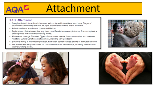 AQA Psychology - Attachment: Infant caregiver interaction