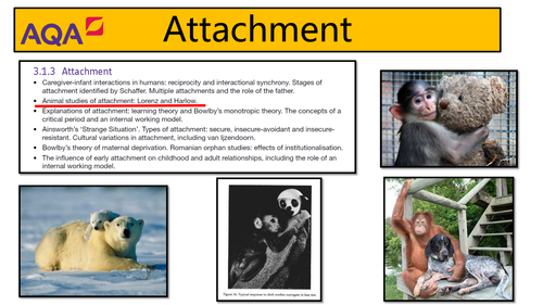 AQA Psychology - Attachment: Animal Studies