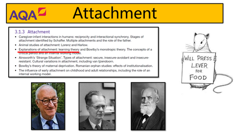 AQA Psychology - Attachment: Learning Theory