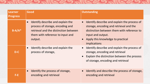 PROCESSES OF MEMORY bundle 8182 Cognition & behaviour
