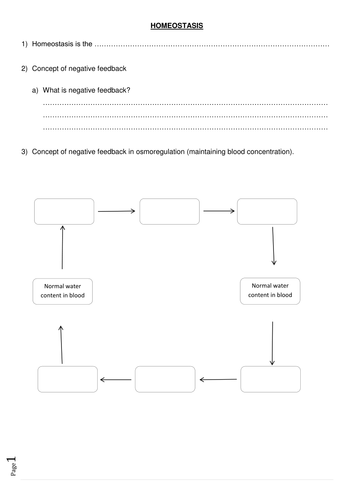 Homeostasis Worksheet | Teaching Resources