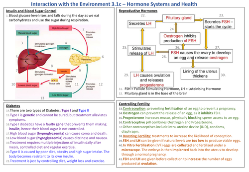 Knowledge Organiser AQA 9-1 GCSE Synergy - Hormones and Health ...