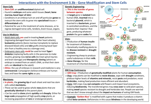 Knowledge Organiser AQA 9-1 GCSE Synergy - genetic modification and Stem Cells