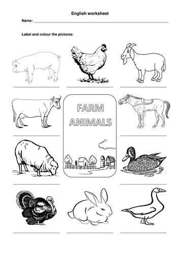 farm animals worksheet | Teaching Resources