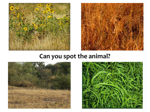 New GCSE - Adaptations