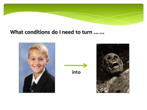 New GCSE - Carbon Cycle