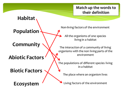 New GCSE - Competition