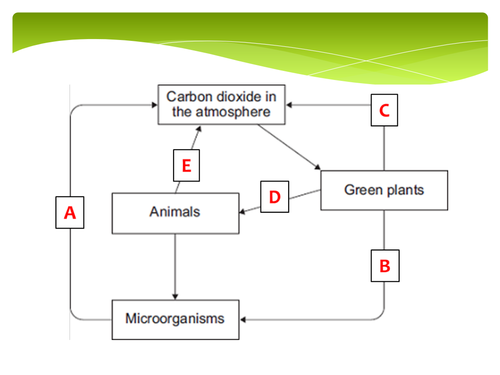 New GCSE - Global Warming