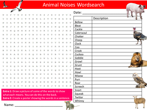 Animal Noises Wordsearch Animals Onomatopoeia Starter Activity Homework Cover Lesson Plenary