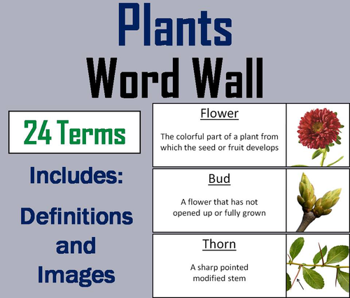 Parts of a Plant Word Wall Cards