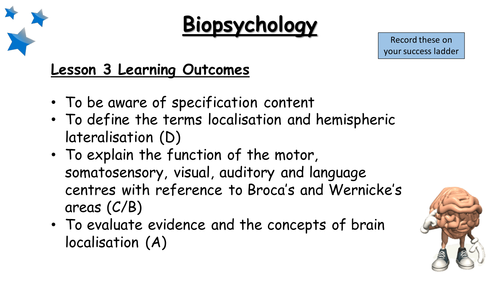 Biopsychology - Localisation of function