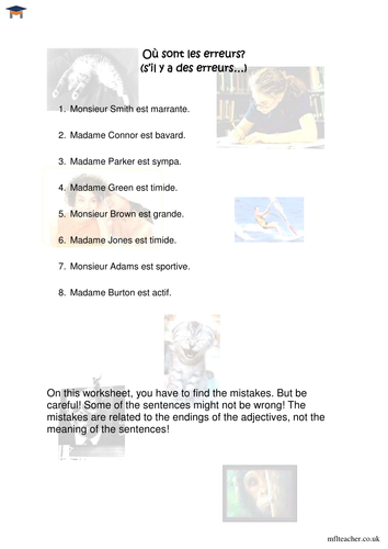 French - Correct the adjective endings worksheet