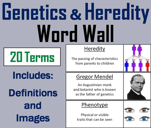 Genetics and Heredity Word Wall Cards