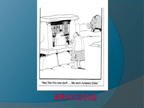 Business Studies – Cambridge IGCSE – Marketing – Unit 16 – The Marketing Mix – Marketing Strategy