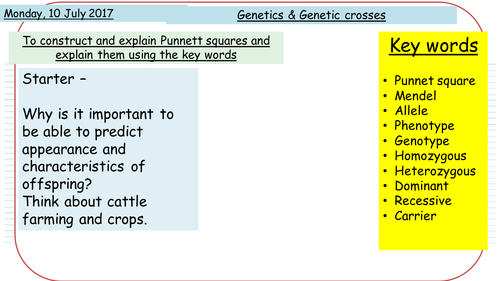 Early understanding of Genetic crosses & Mendel - NEW AQA GCSE