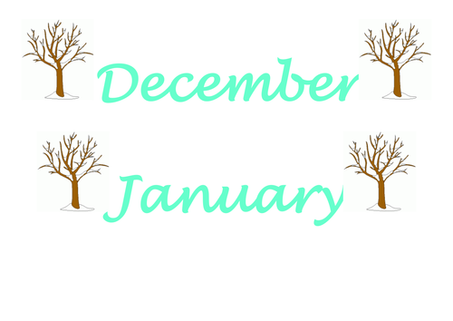 Months of the year words with seasonal trees