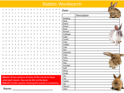 Rabbits Wordsearch Animal Nature Literacy Starter Settler Activity Homework Cover Lesson