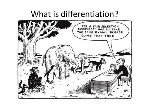 Differentiation INSET