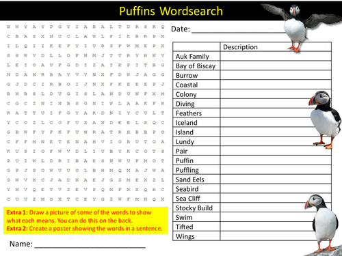 Puffins Wordsearch Animals BIrds Starter Settler Activity Homework Cover Lesson