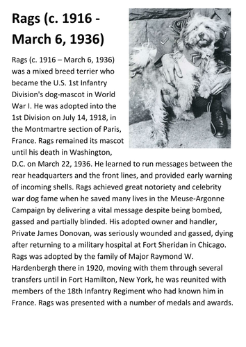 Rags War Hero Dog The Big Red One Handout | Teaching Resources