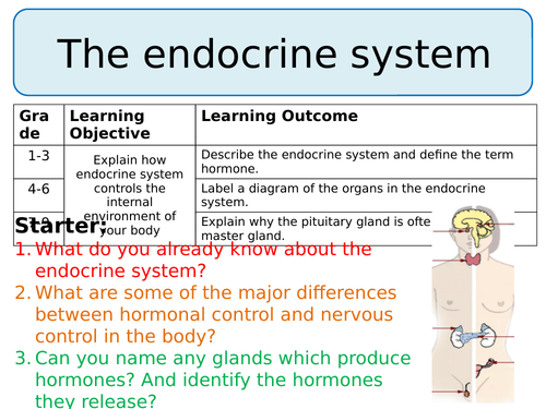 NEW AQA GCSE Trilogy (2016) Biology - The endocrine system