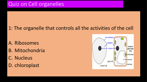 assessmnet or  starter Quizs on plant, animal and bacterial cell