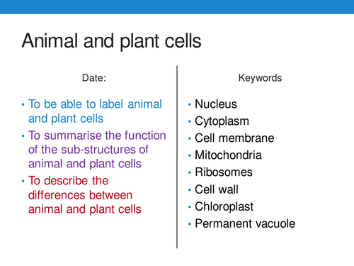New 9-1 AQA GCSE Biology B1 Animal and Plant Cells