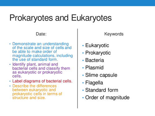 New 9-1 AQA GCSE Biology B1 Eukaryotic and Prokaryotic Cells