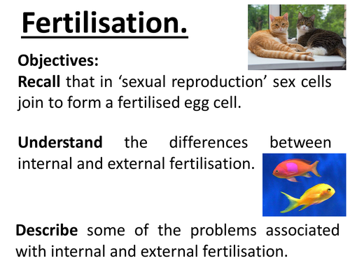 Reproduction - lesson 1 fertilisation. Sexual reproduction, Internal and external fertilisation etc