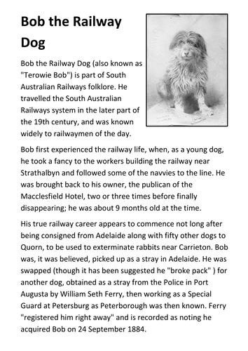 Bob the railway dog Handout