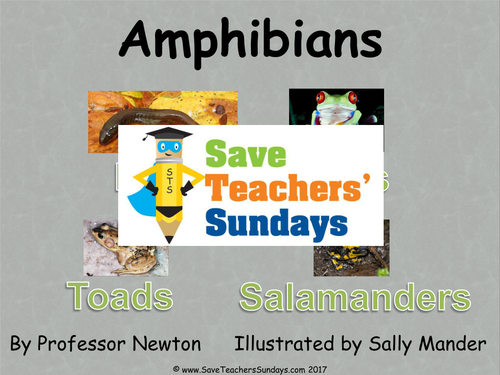 KS2 Amphibians eBook / PowerPoint (13 detailed pages)