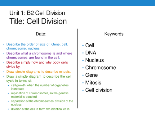 New 9-1 GCSE AQA Biology B2 Cell Division