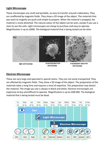 KS3 Biology - Using a Microscope