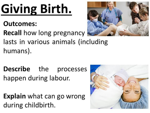 Birth, Labour. Lengths of pregnancies, stages of birth, processes, what can go wrong-complete lesson