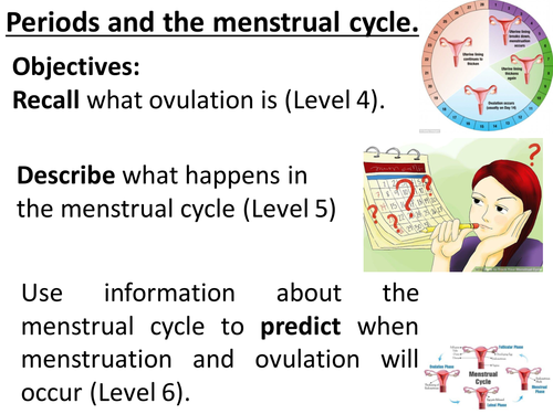 Periods, menstrual cycle, menstruation, ovulation, 28 day cycle. Complete lesson. KS3 Biology.