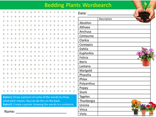 Bedding Plants Wordsearch Nature Gardening Starter Settler Activity Homework Cover Lesson