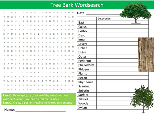 Tree Bark Wordsearch Biology Starter Settler Activity Homework Cover Lesson