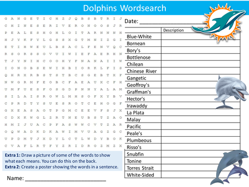Dolphin Wordsearch Animals The Sea Nature Starter Settler Activity Homework Cover Lesson