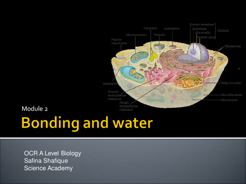 OCR Biology 2015 - Bonding and Water