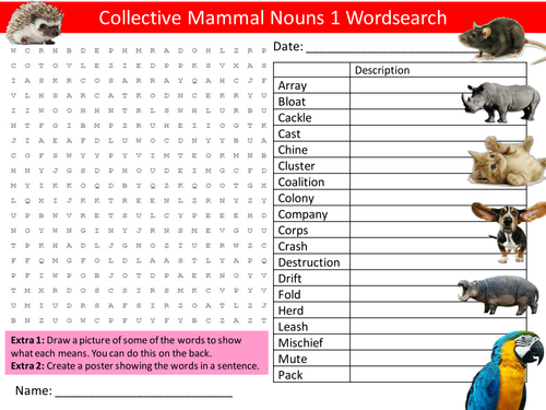 Mammals Collective Nouns 1 Wordsearch English Starter Settler Activity Homework Cover Lesson