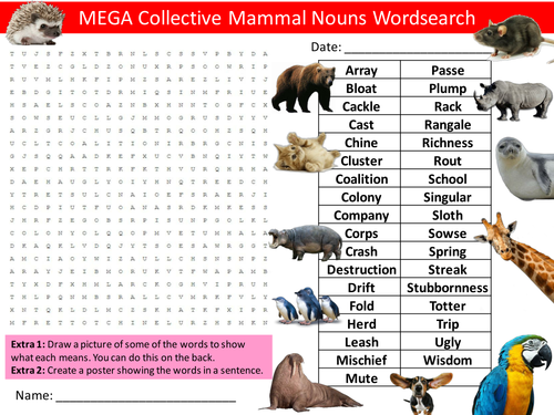 3 x Mammals Collective Nouns Wordsearch English Starter Settler Activity Homework Cover Lesson