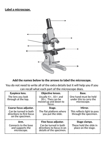 View Label By Identifying The Parts Of A Microscope Using The Word