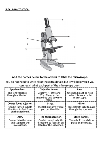 7Ac Microscope Labelling Worksheet