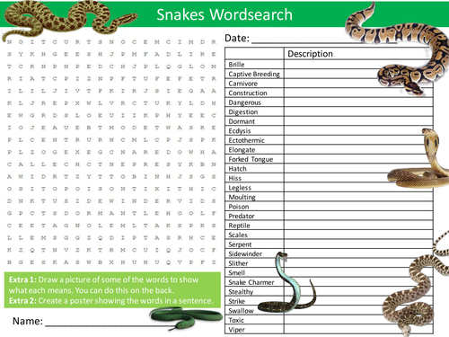 Snakes Wordsearch Animals Reptiles Starter Settler Activity Homework Cover Lesson