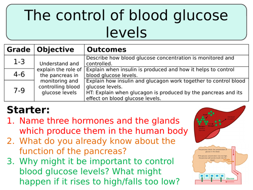 NEW AQA GCSE Trilogy (2016) Biology - The control of blood glucose levels