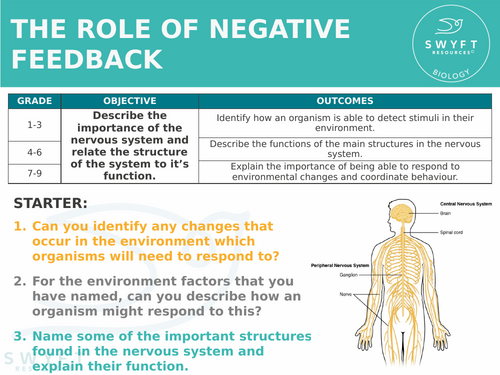 NEW AQA GCSE Trilogy (2016) Biology - The role of negative feedback