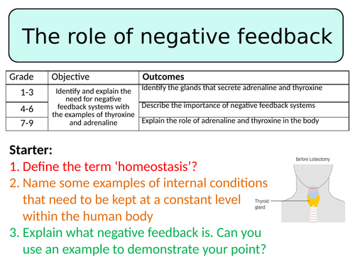 NEW AQA GCSE Trilogy (2016) Biology - The role of negative feedback